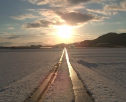 夢中になれるもの