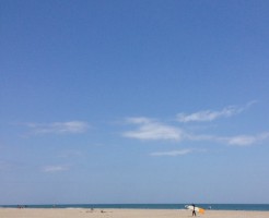 FXは楽しいのか？